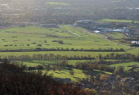 Paddy Power Gold Cup 2026 Tips, Odds & Cheltenham Preview