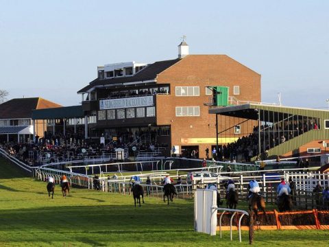 The Ultimate Guide To Sedgefield Racecourse the-ultimate-guide-to-sedgefield-racecourse